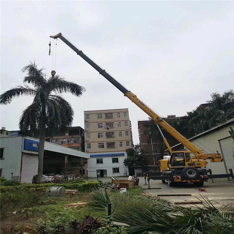 江州吊车吊大树几种方法